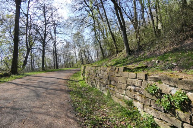 P1060559easy fotok.jpg